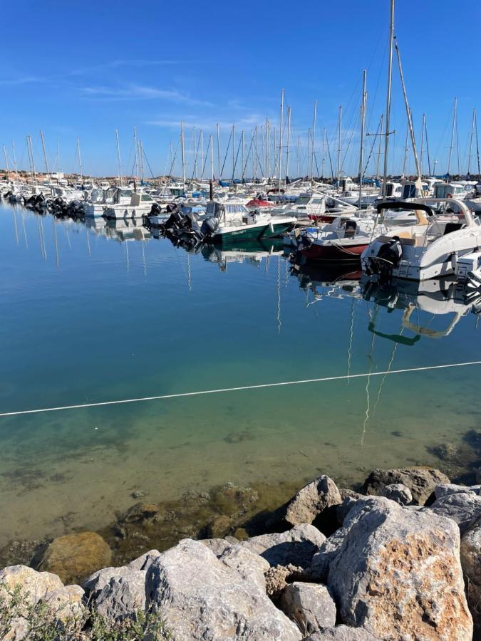 Les Ecuries - 3 Bedroom Gite With Plunge Pool Near Narbonne & The Canal Du Midi Saint-Nazaire-d'Aude エクステリア 写真