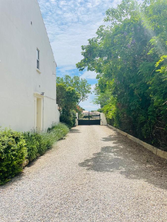Les Ecuries - 3 Bedroom Gite With Plunge Pool Near Narbonne & The Canal Du Midi Saint-Nazaire-d'Aude エクステリア 写真
